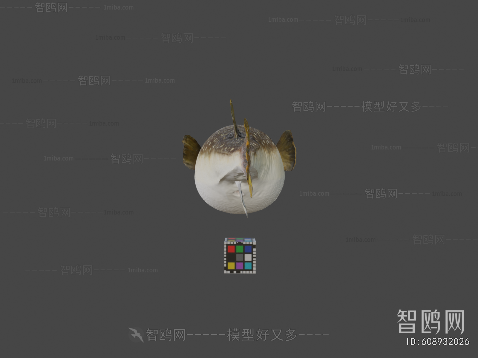 Modern Aquatic Animals