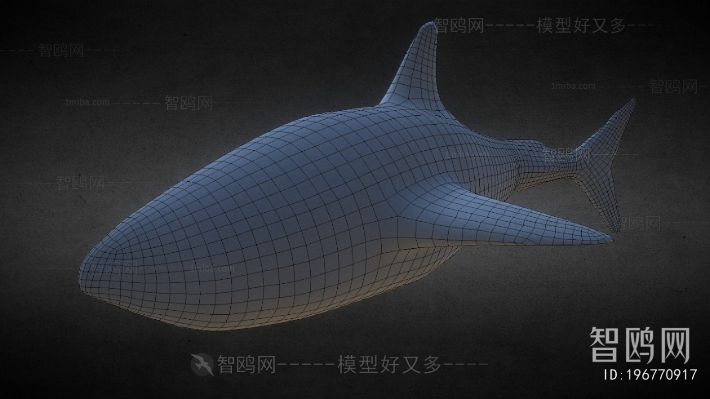 Modern Aquatic Animals