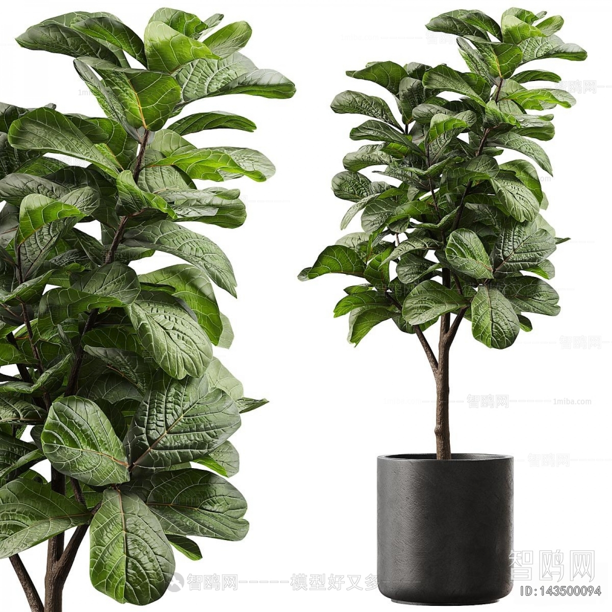 Modern Ground Green Plant Potted Plants