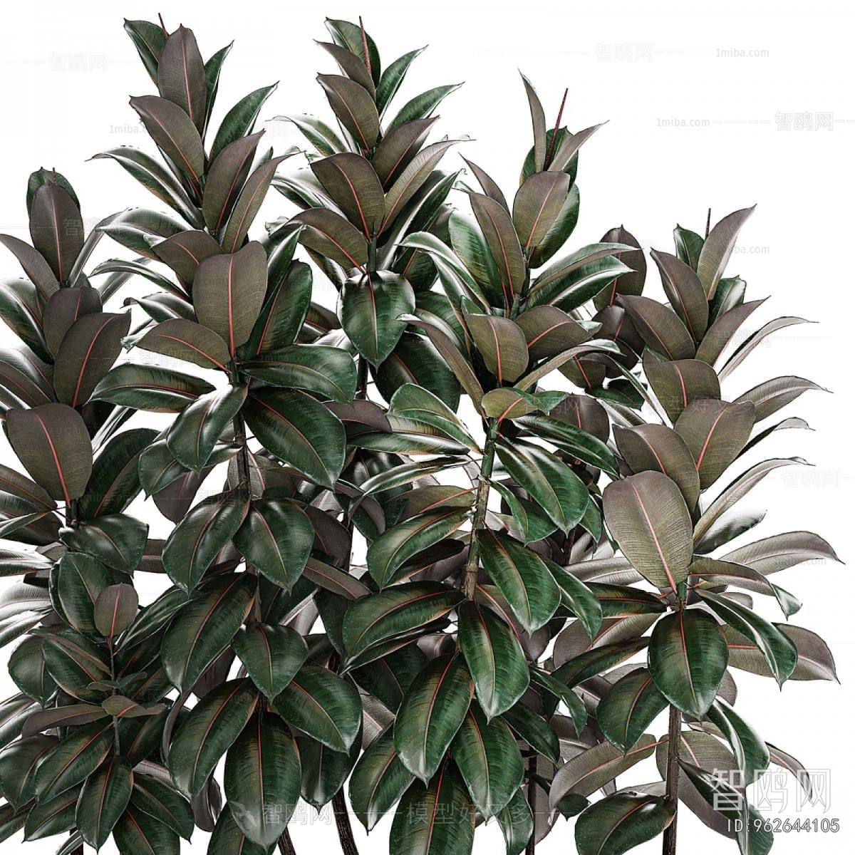 Modern Potted Green Plant