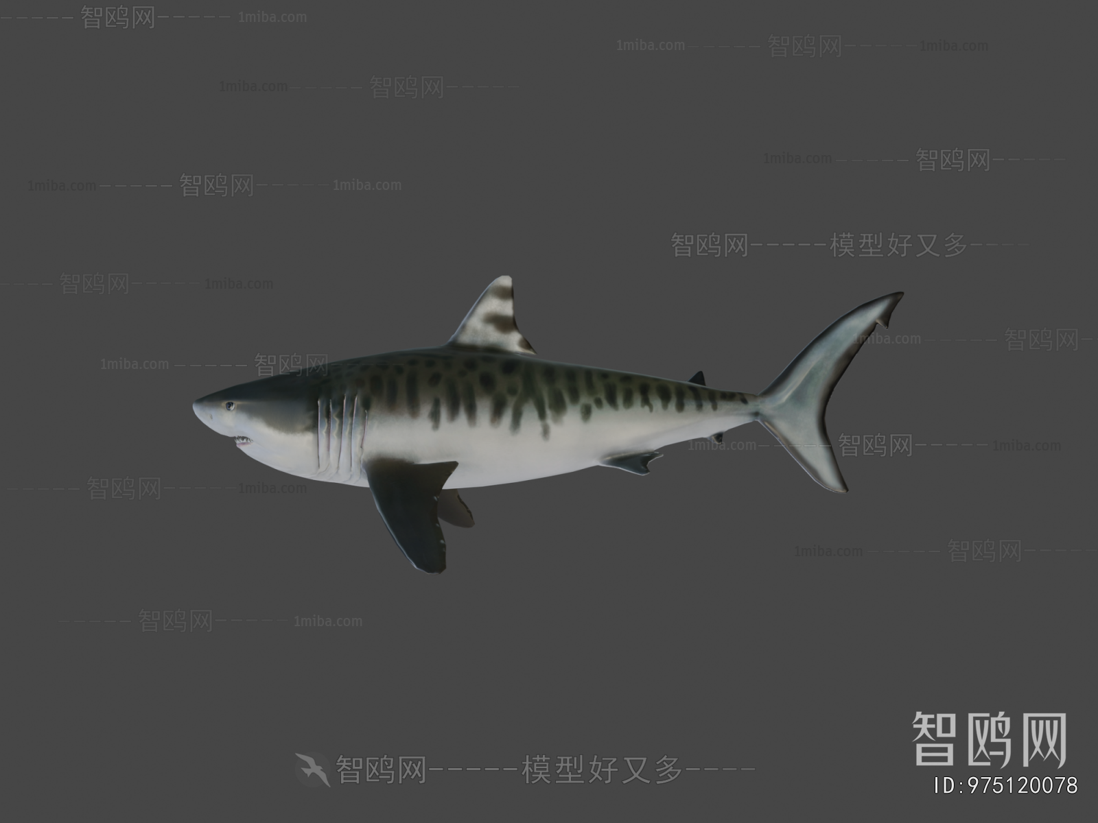 Modern Aquatic Animals