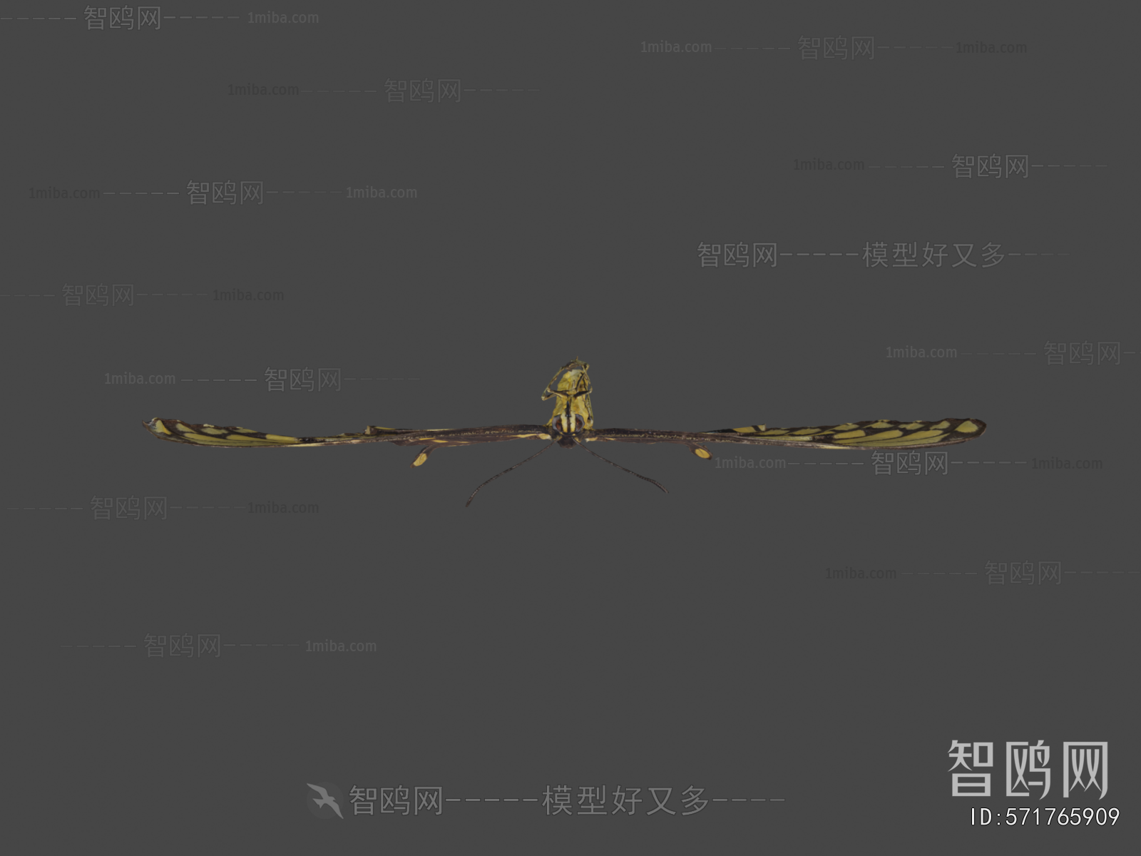 Modern Flying Animals