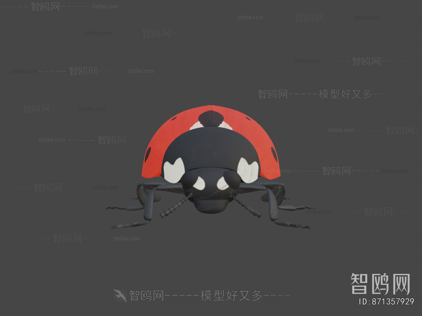 Modern Flying Animals