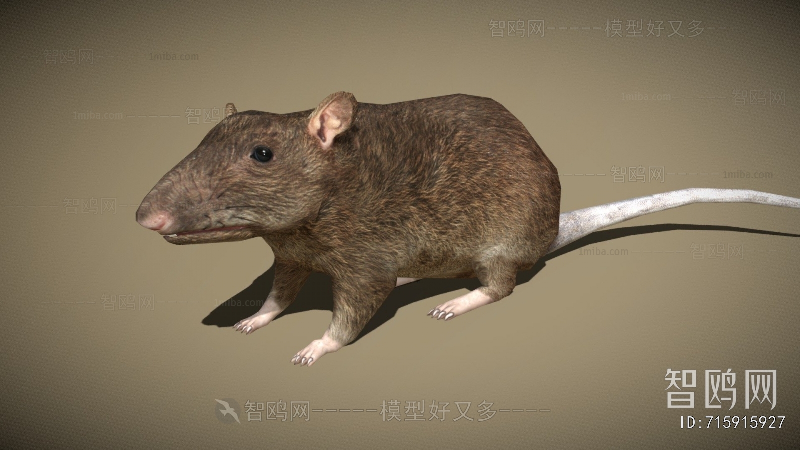 Modern Mammal