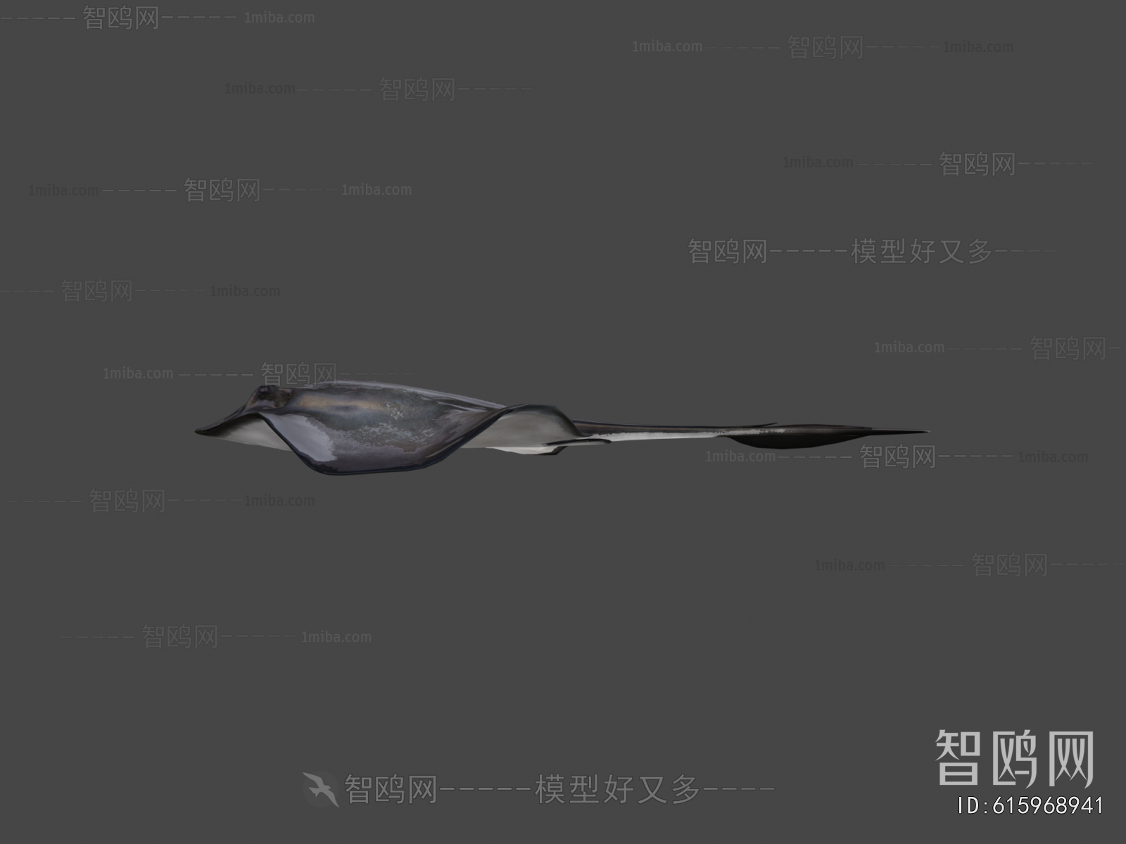 Modern Aquatic Animals