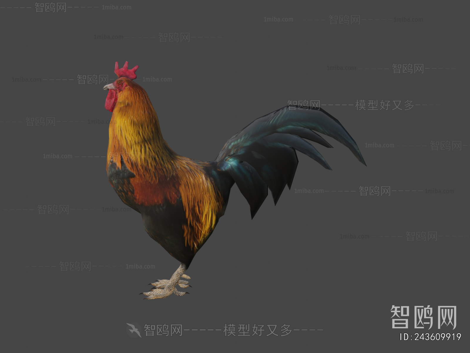 Modern Poultry Animal