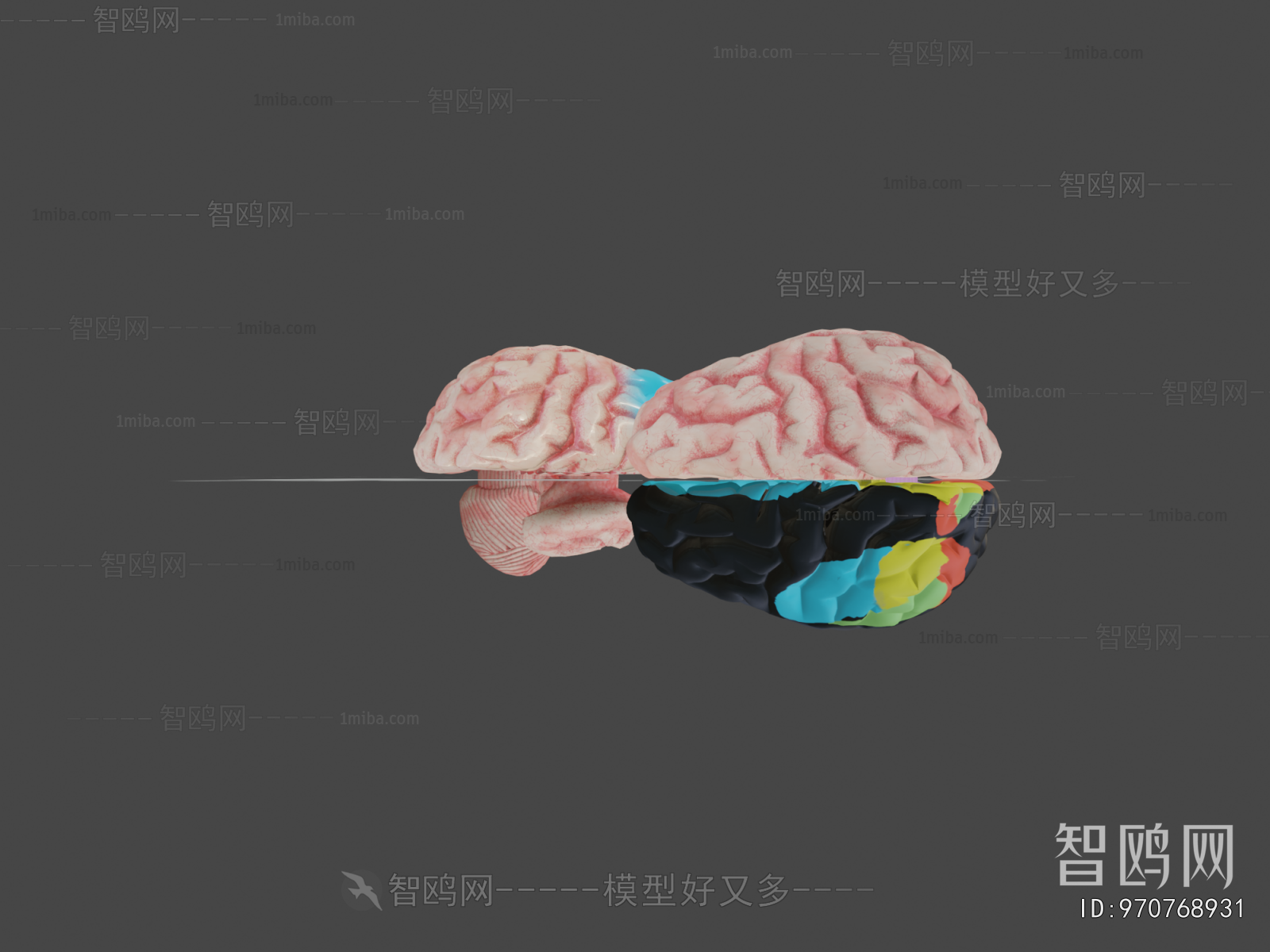 Modern Medical Equipment