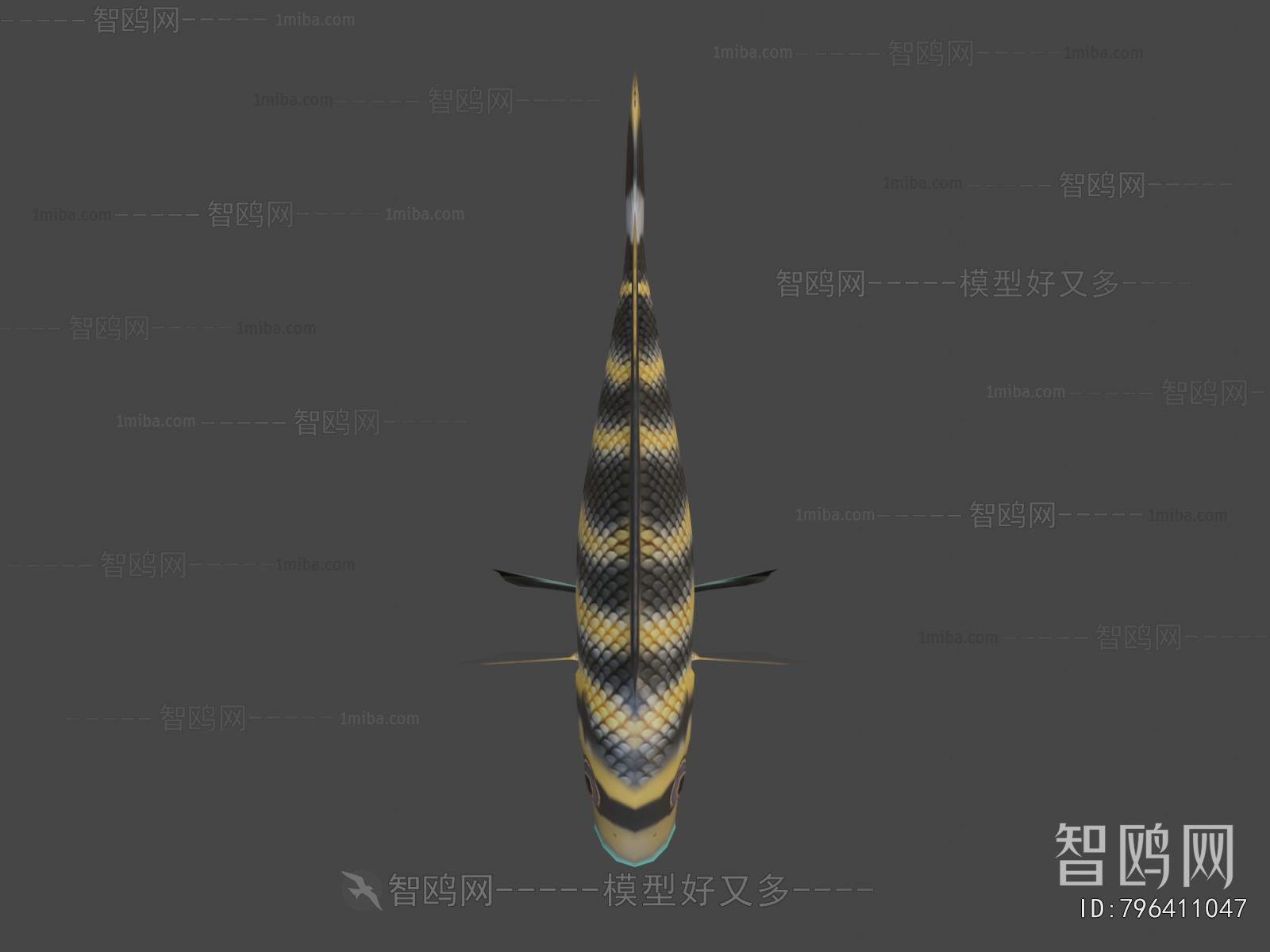 Modern Aquatic Animals