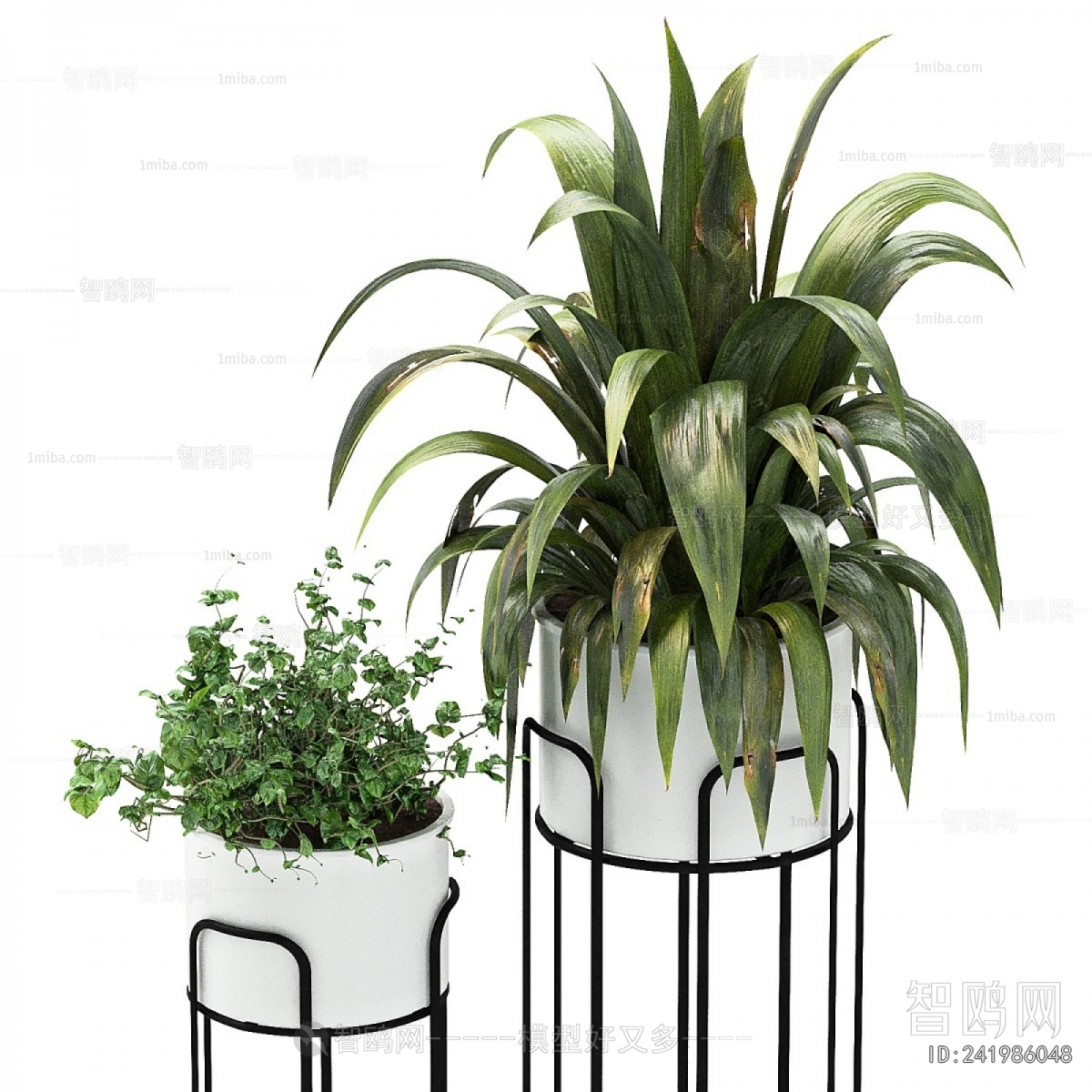 Modern Potted Green Plant