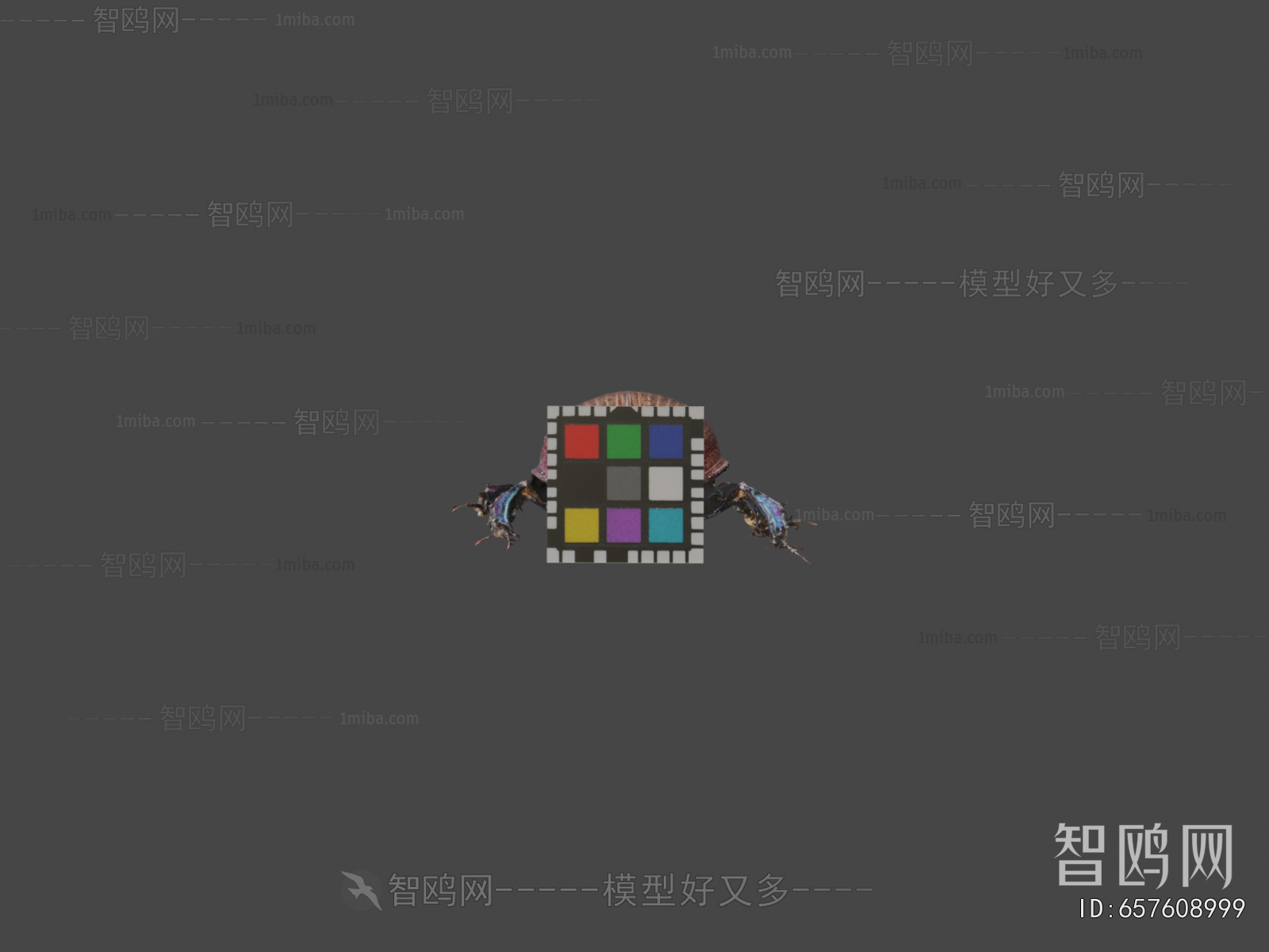 Modern Flying Animals