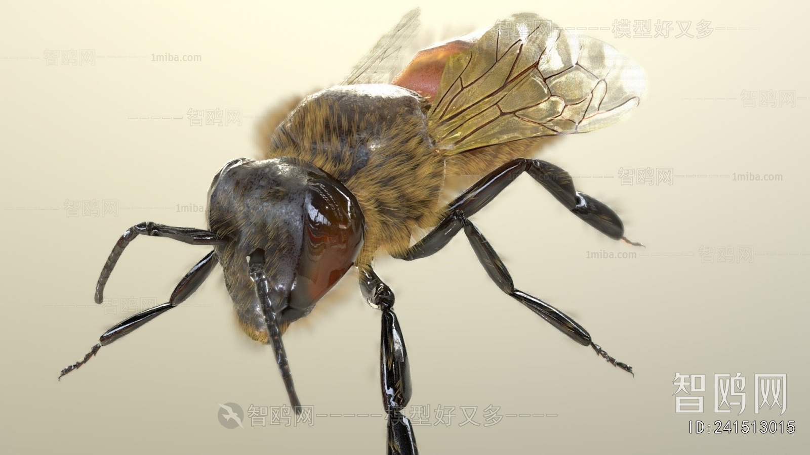 Modern Flying Animals