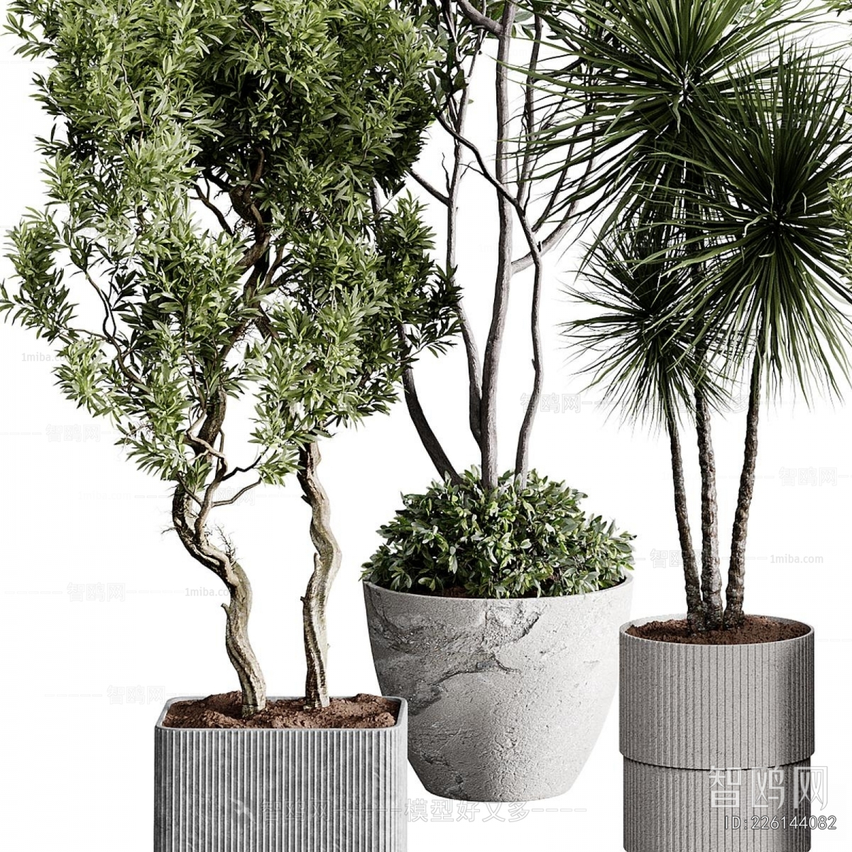 Modern Ground Green Plant Potted Plants