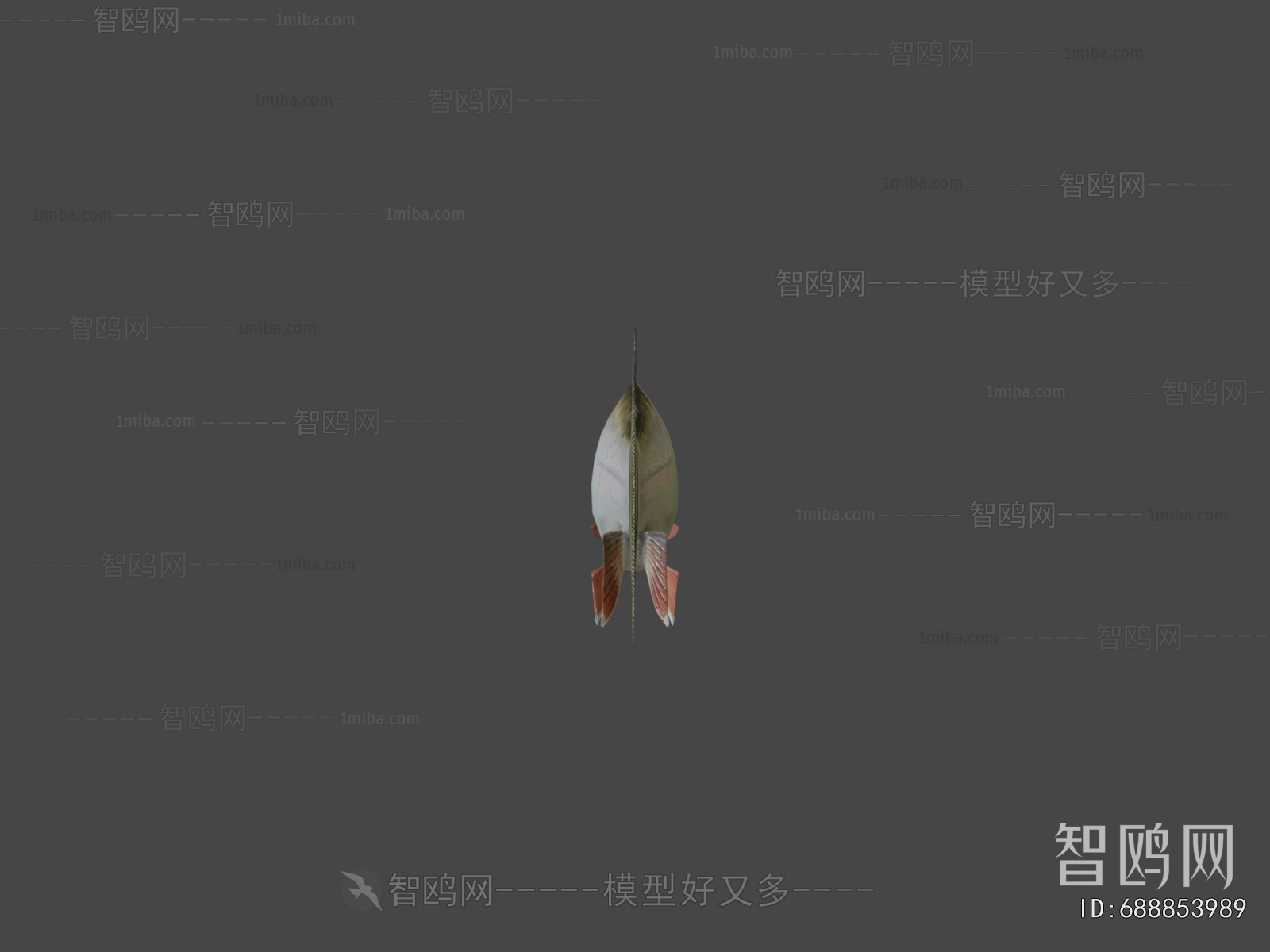 Modern Aquatic Product