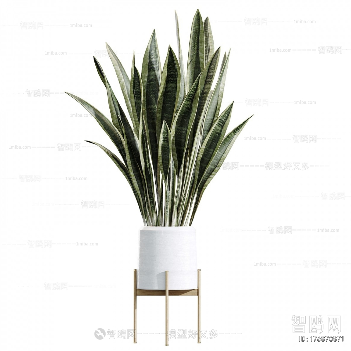 Modern Potted Green Plant