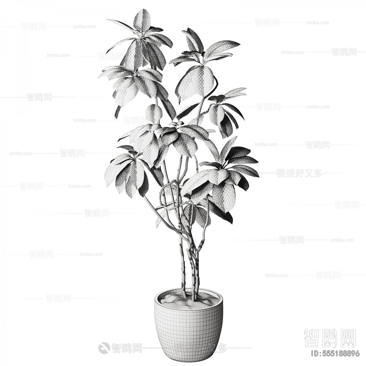 Modern Ground Green Plant Potted Plants