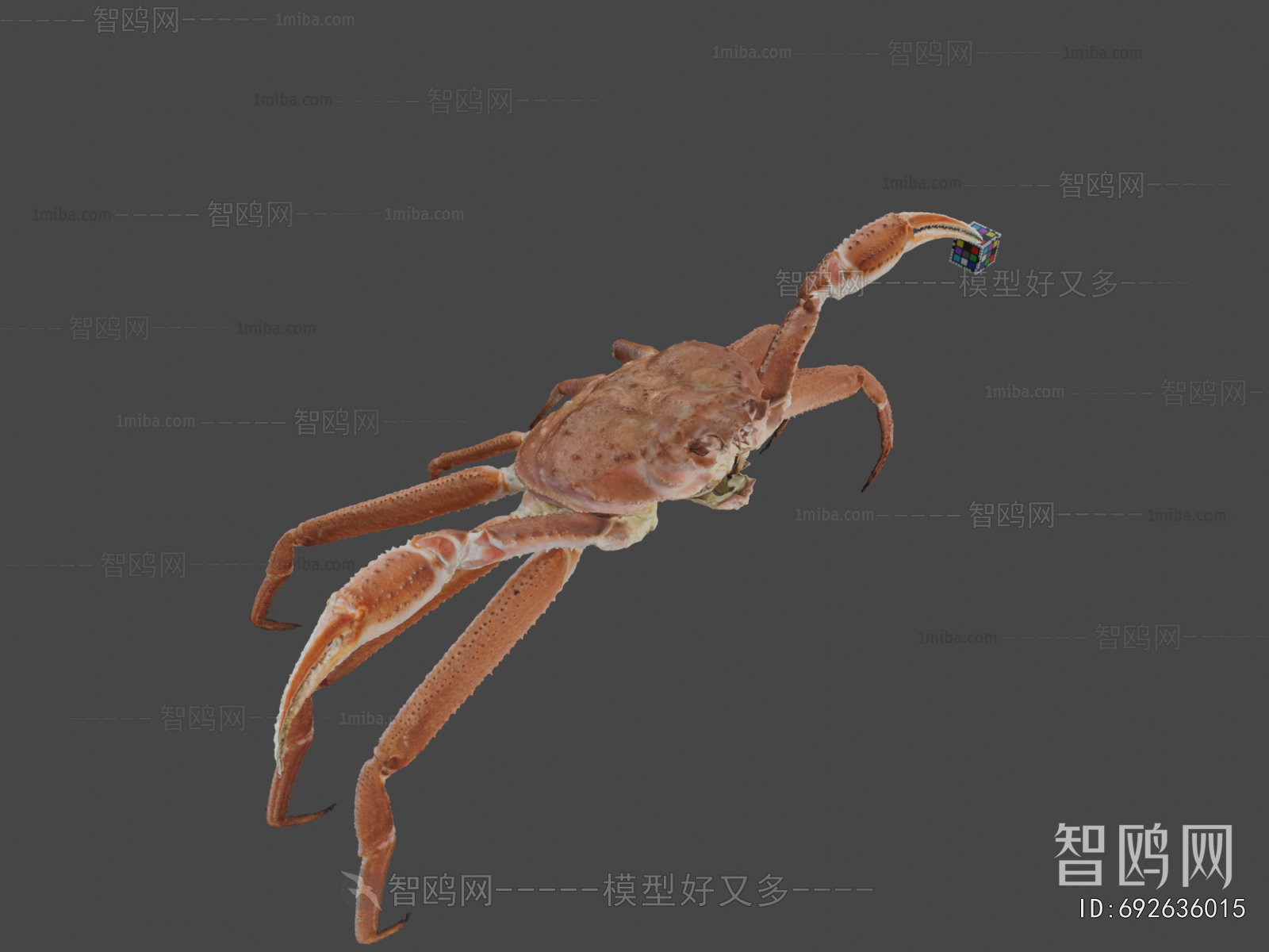 Modern Aquatic Animals