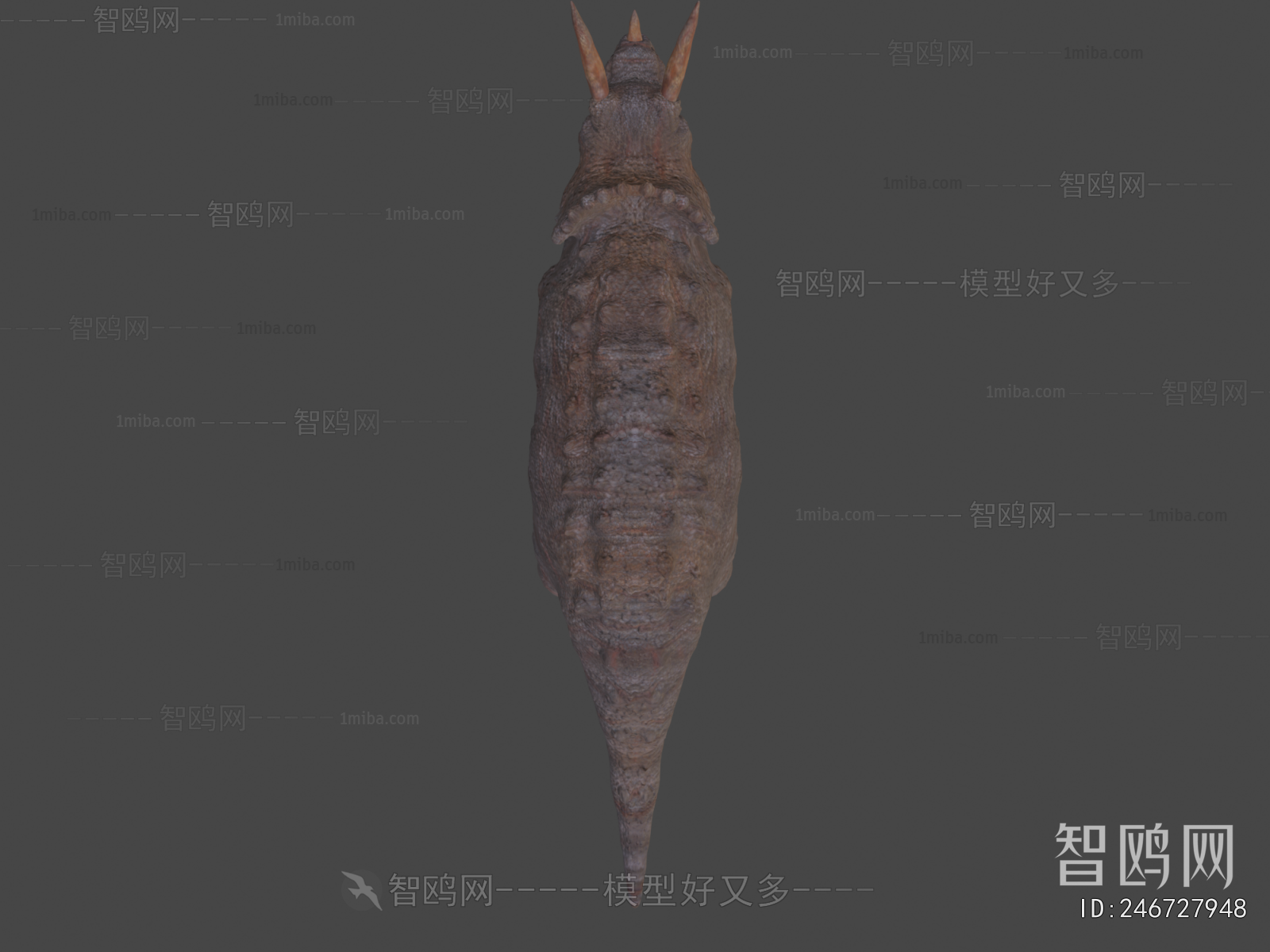 Modern Other Animals