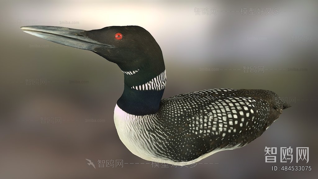 Modern Other Animals