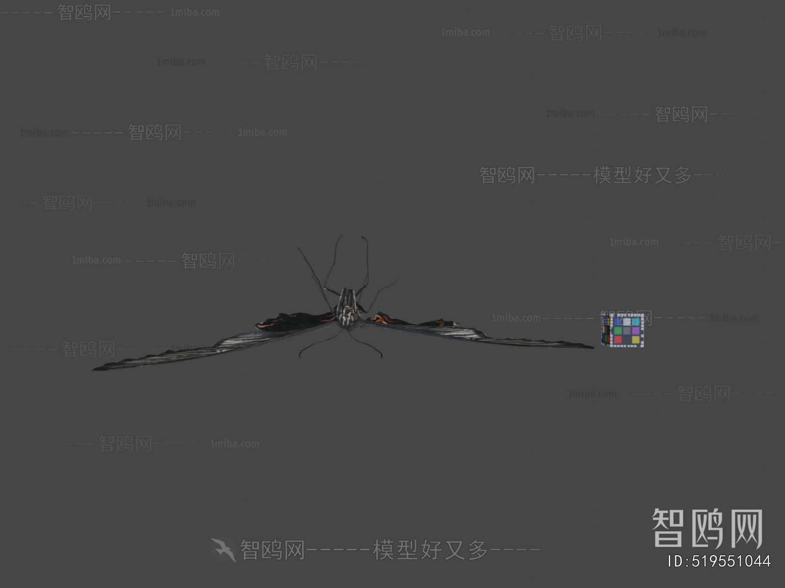 Modern Flying Animals