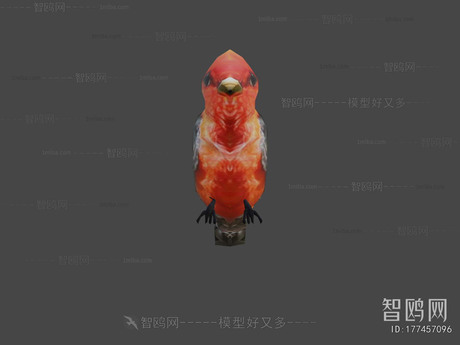 Modern Flying Animals