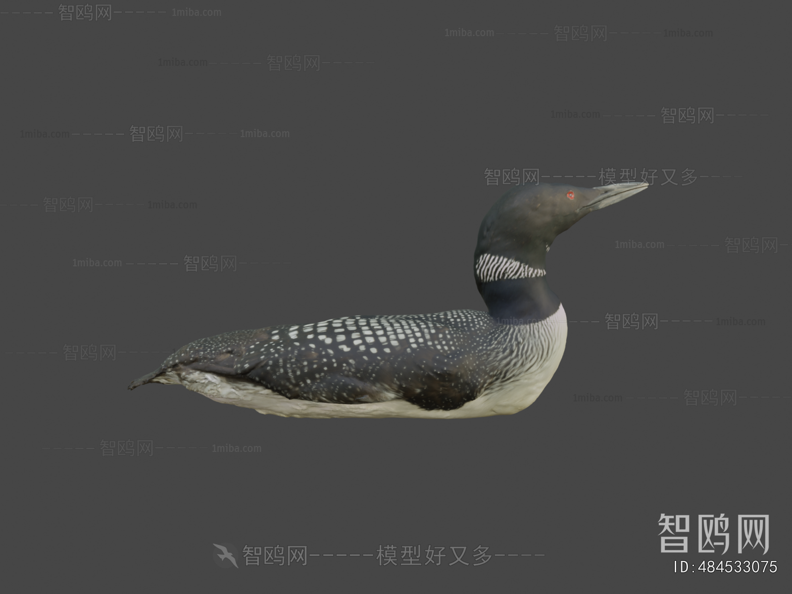 Modern Other Animals