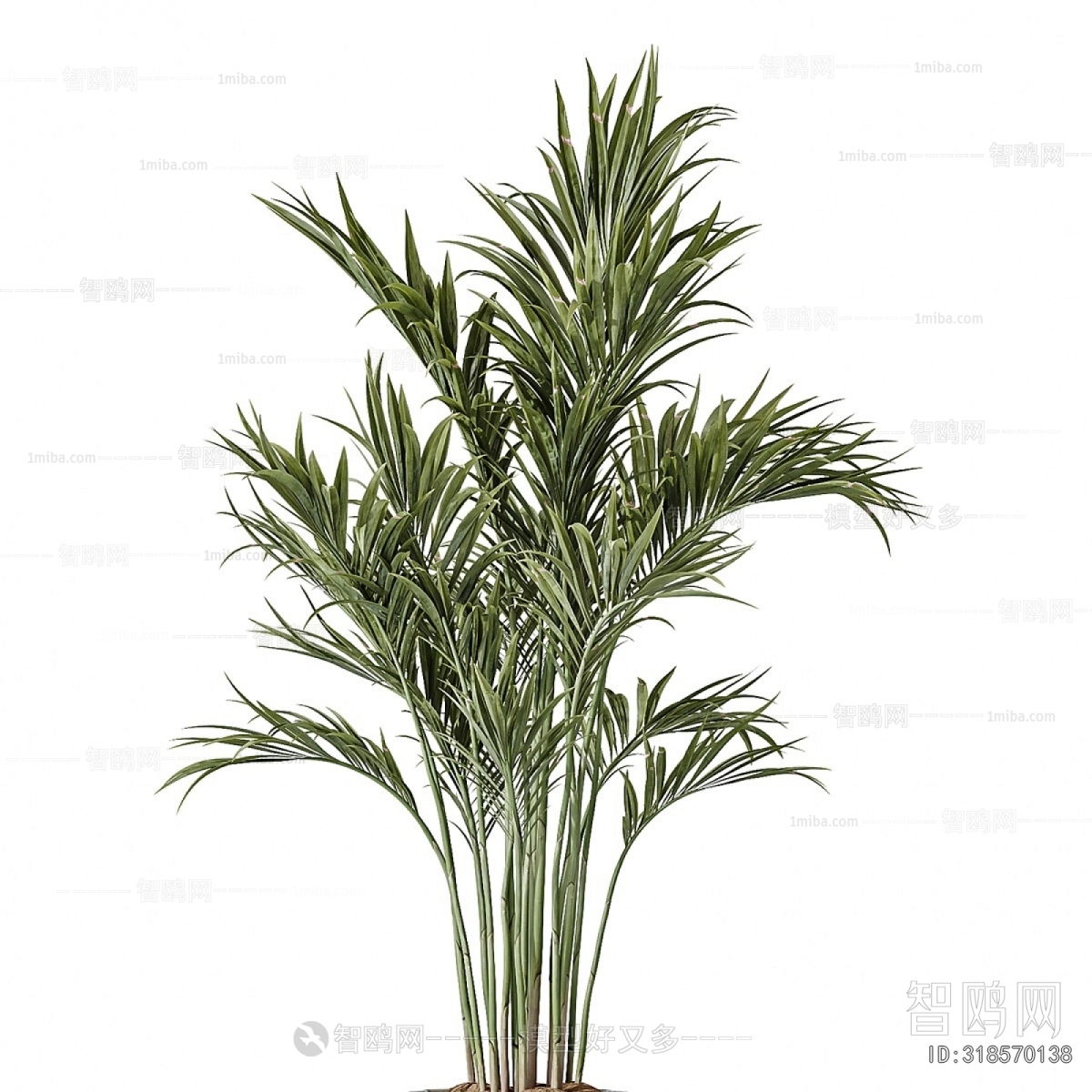 Modern Ground Green Plant Potted Plants