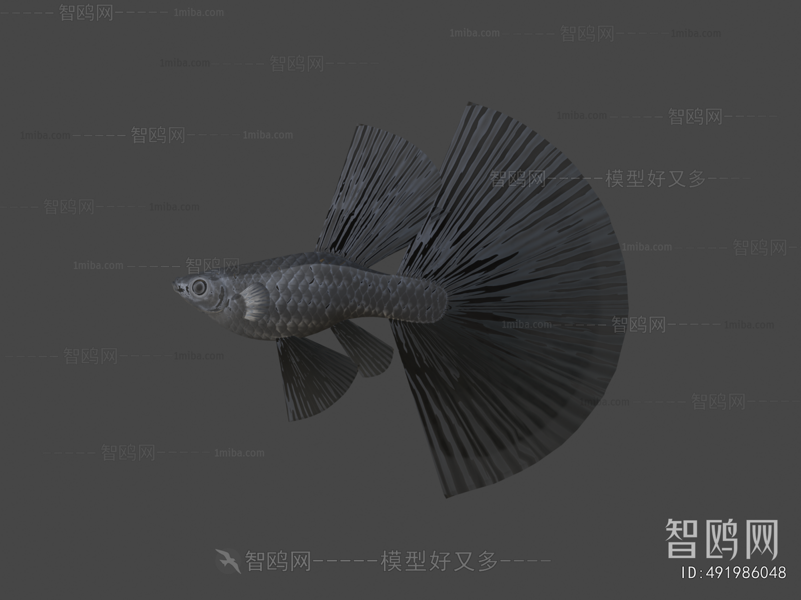 Modern Aquatic Product