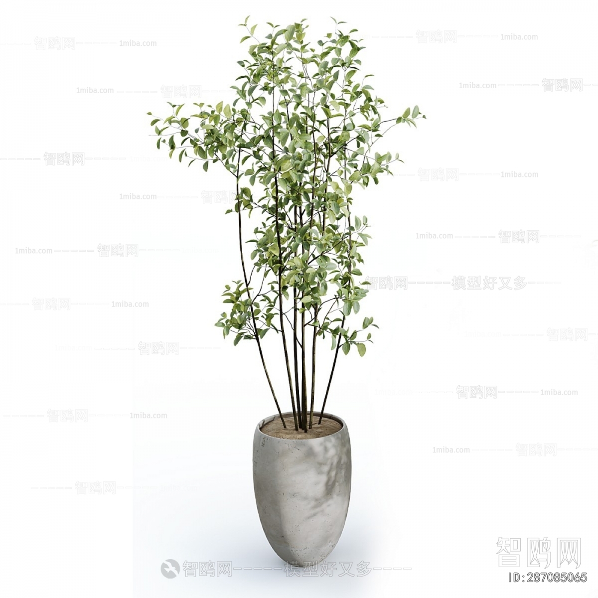 Modern Ground Green Plant Potted Plants