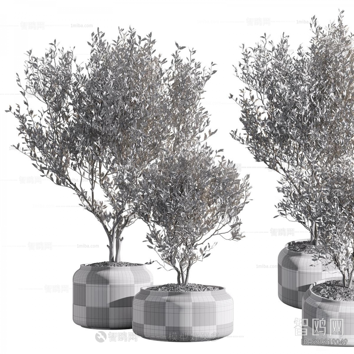 Modern Potted Green Plant