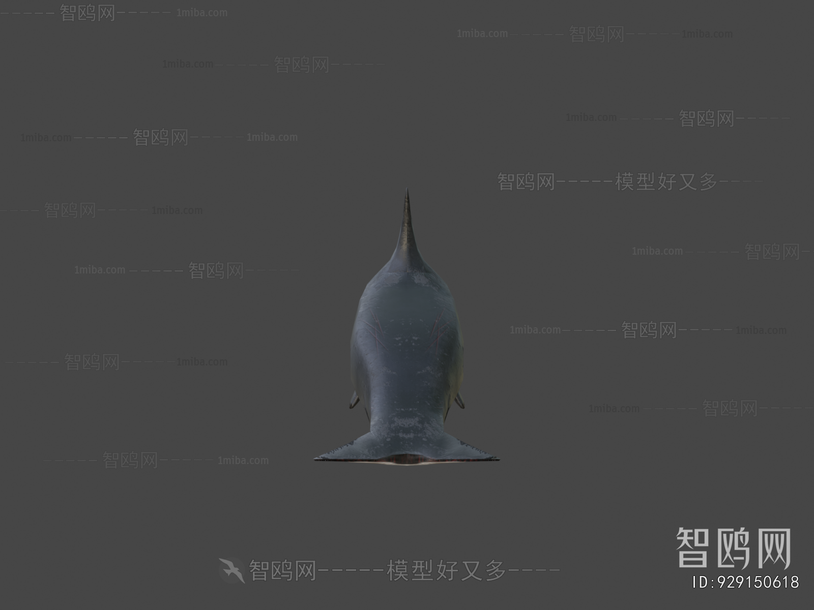 Modern Aquatic Animals