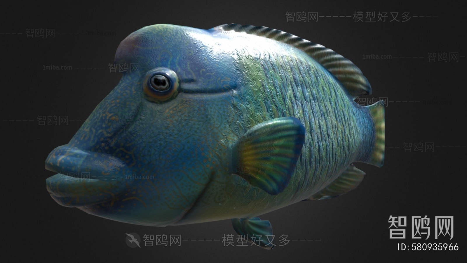 Modern Aquatic Animals