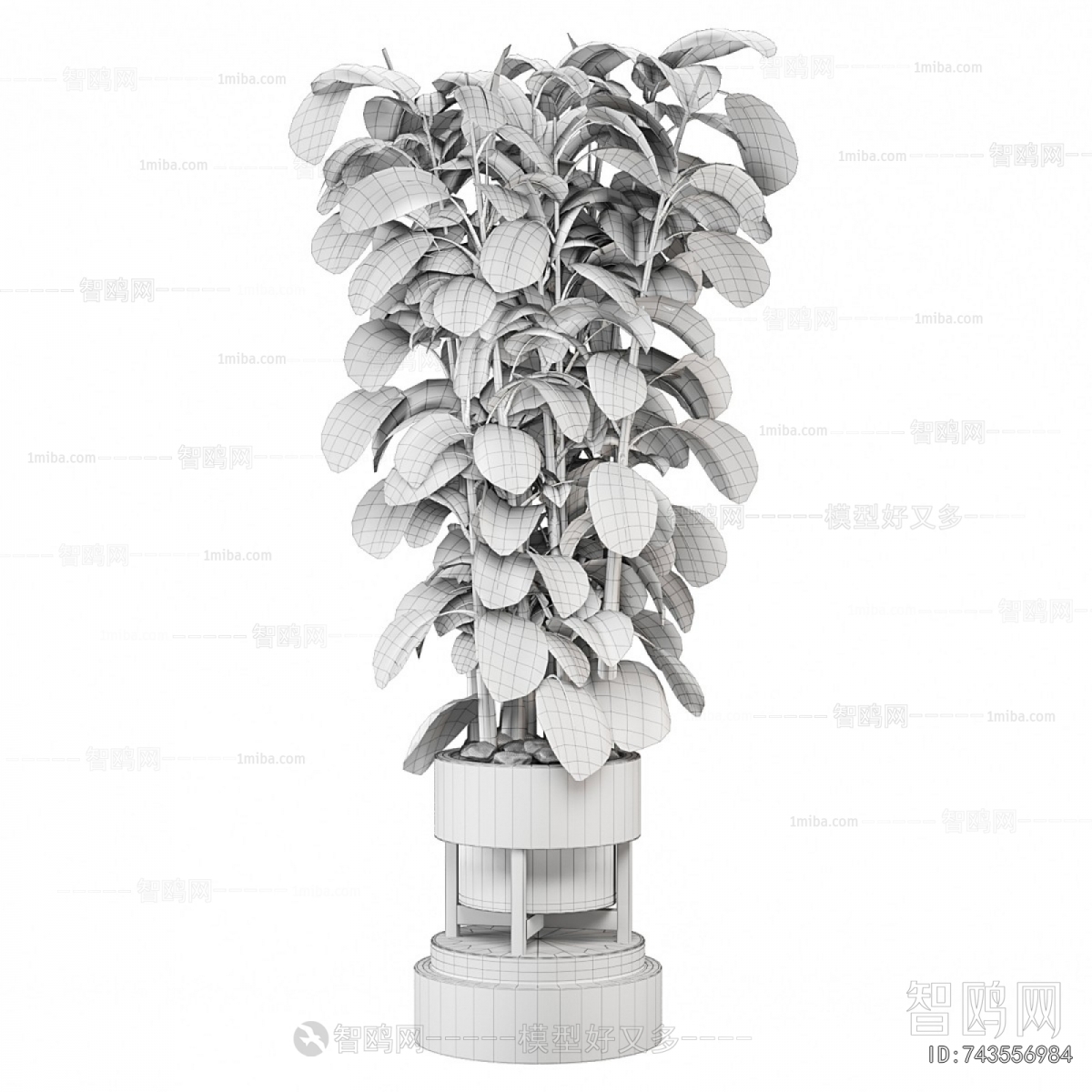 Modern Ground Green Plant Potted Plants