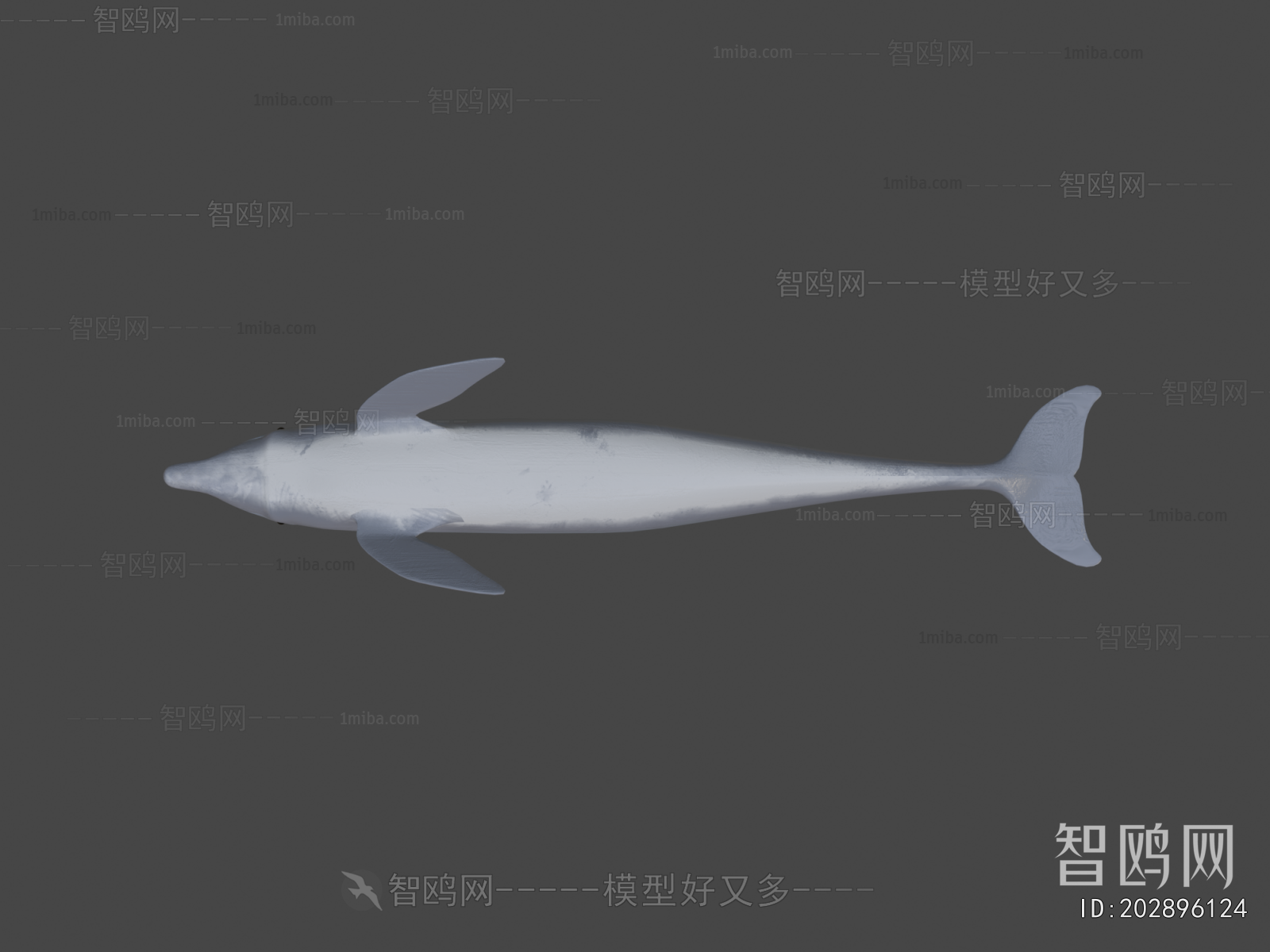 Modern Aquatic Animals