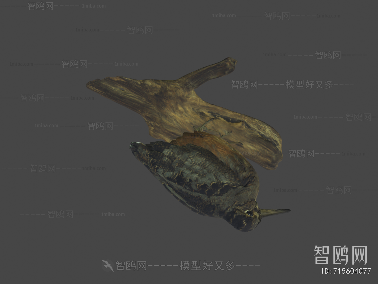 Modern Flying Animals