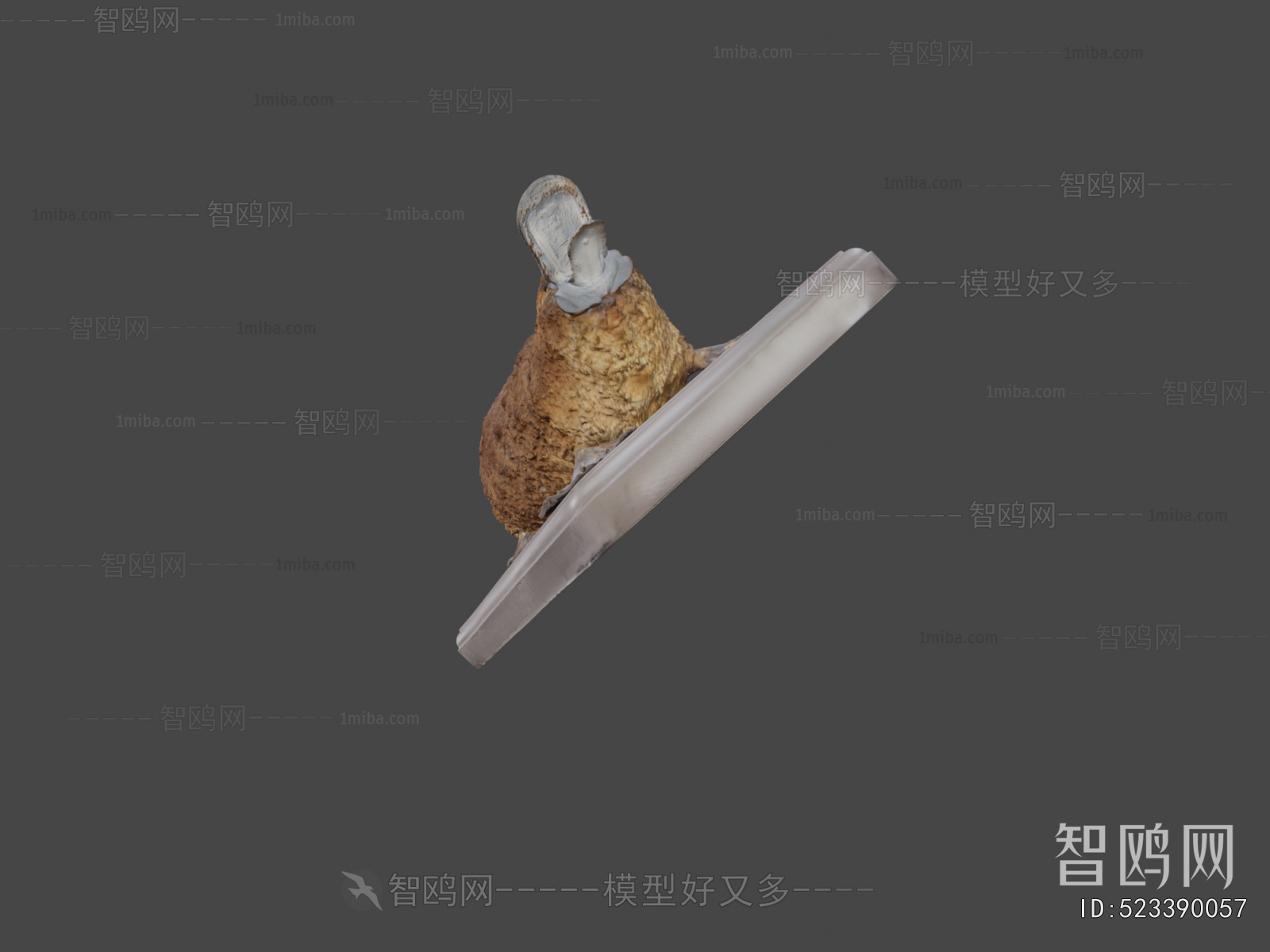 Modern Other Animals