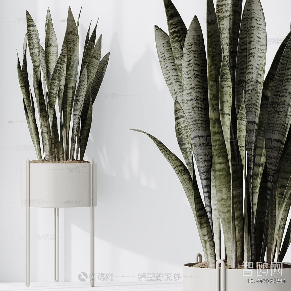 Modern Potted Green Plant