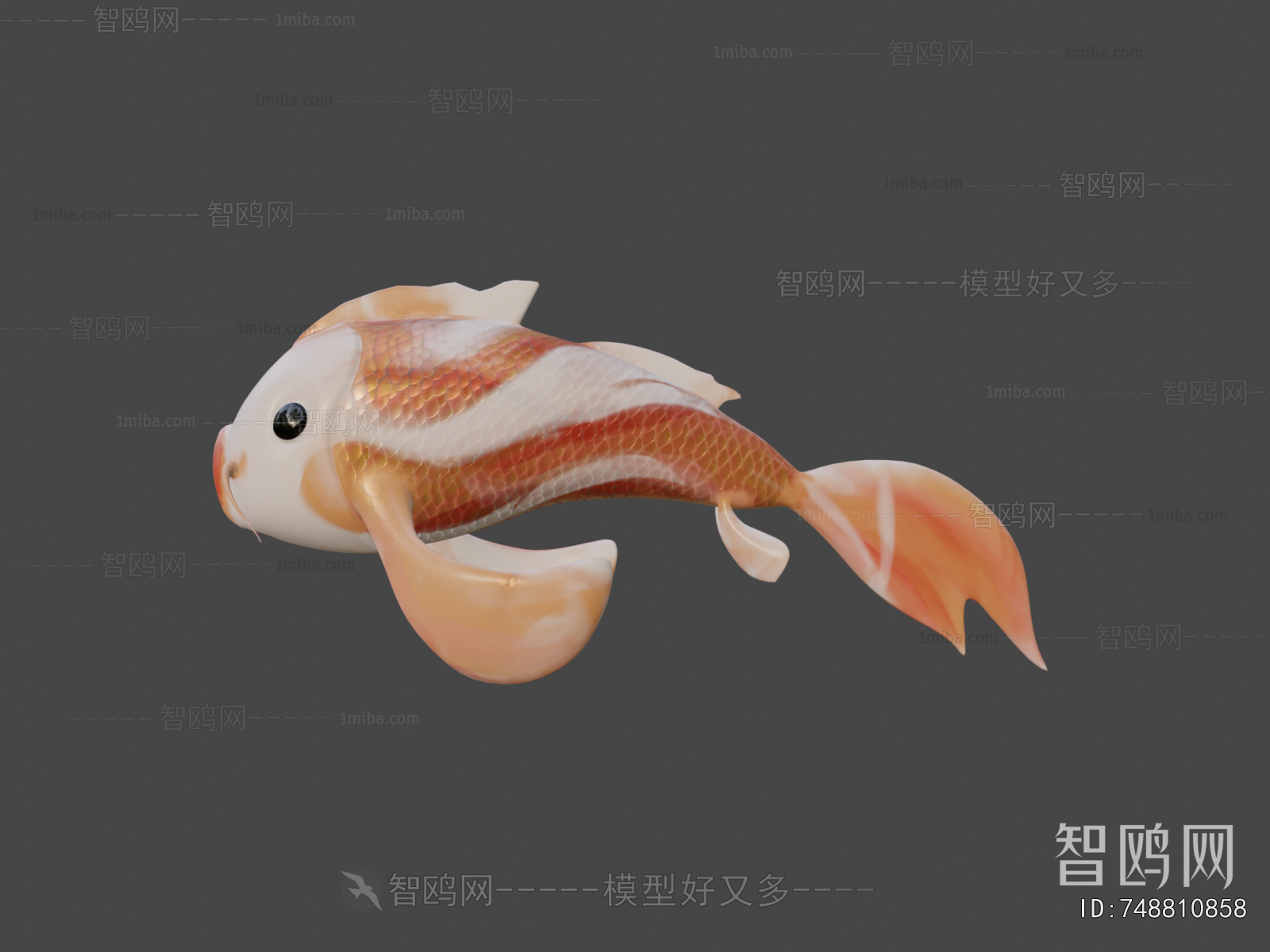 Modern Aquatic Animals