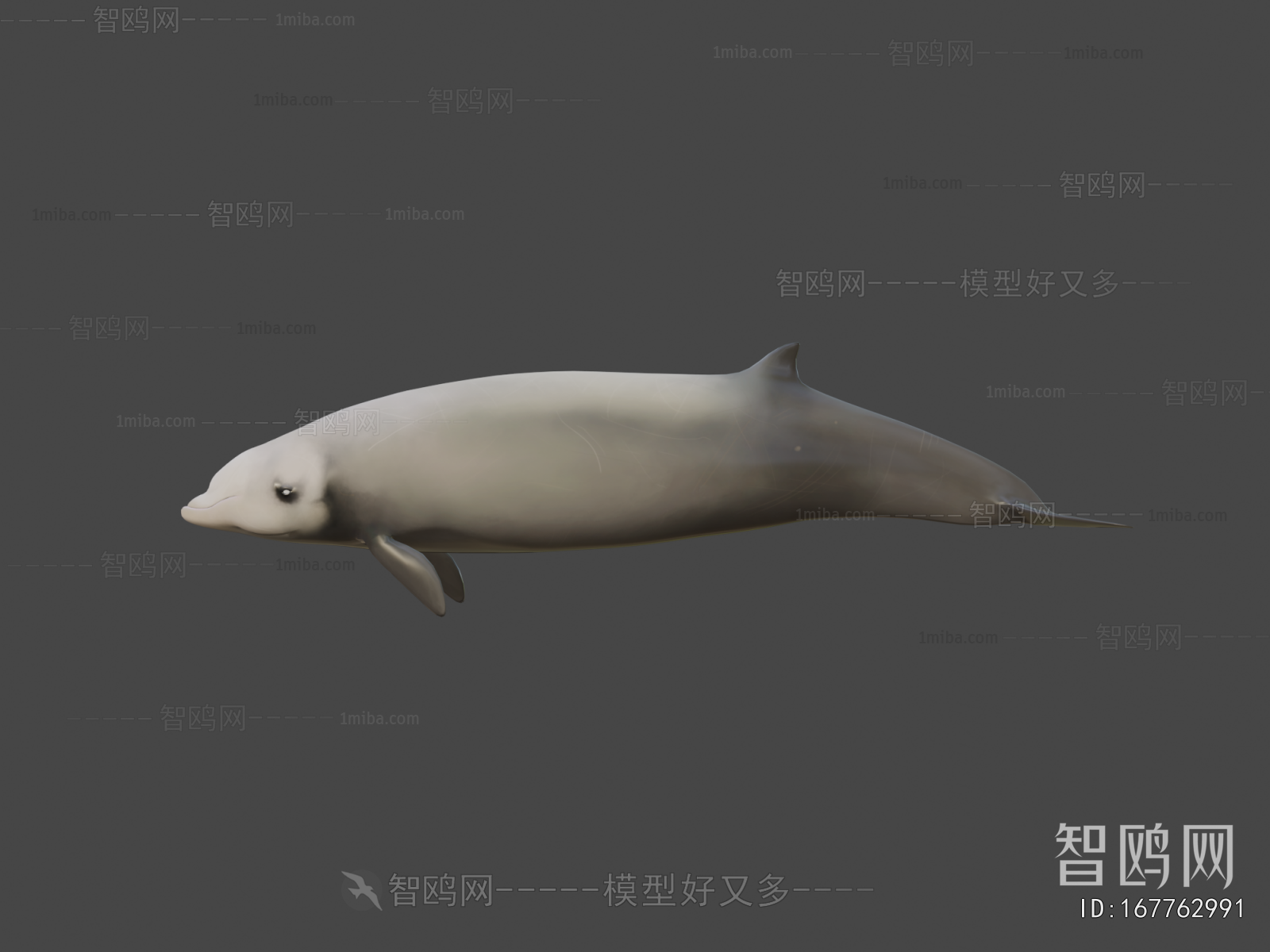 Modern Aquatic Animals