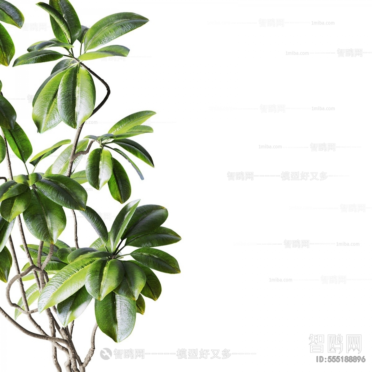 Modern Ground Green Plant Potted Plants