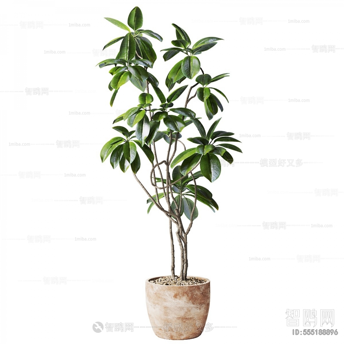 Modern Ground Green Plant Potted Plants