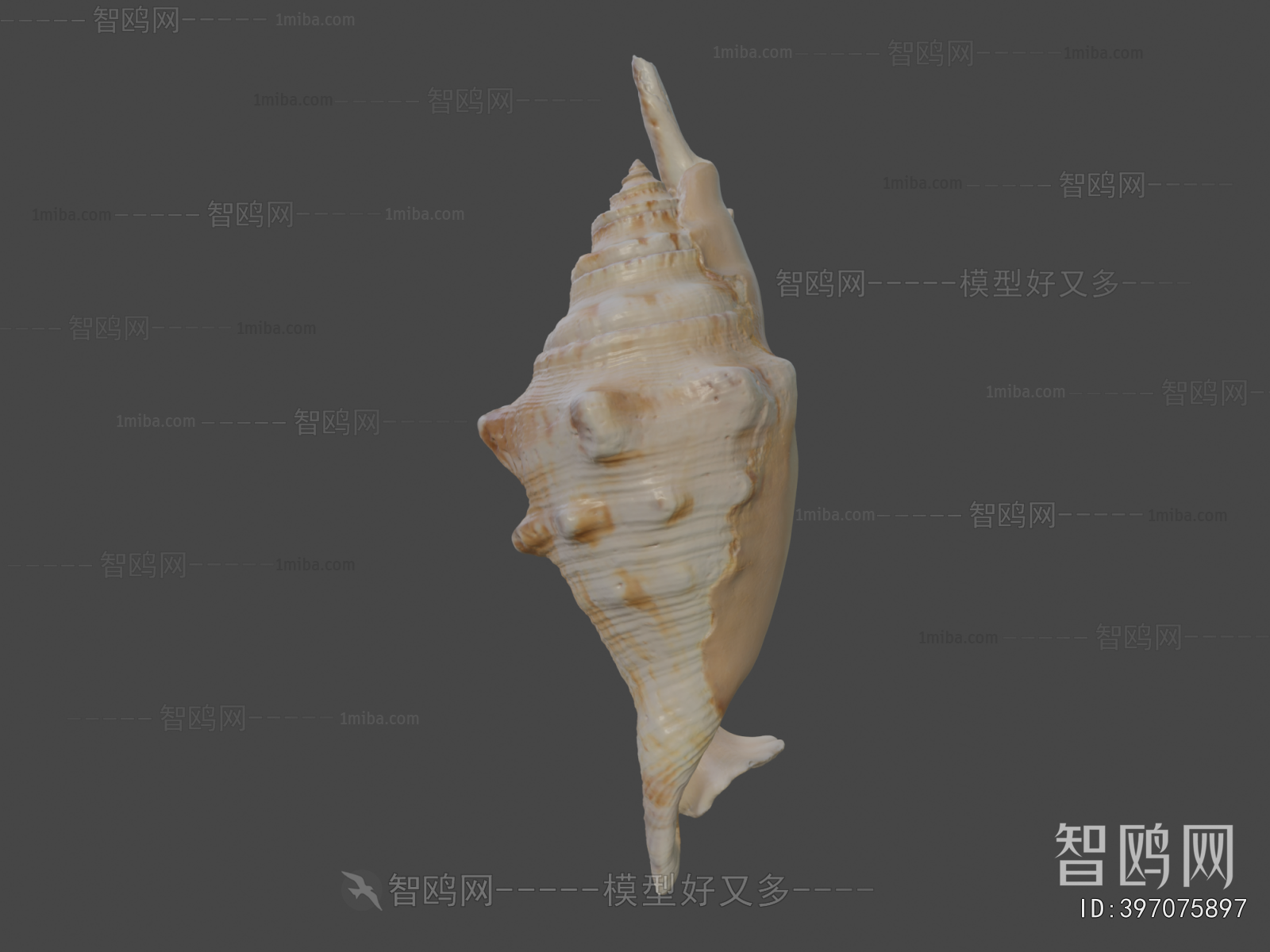 Modern Aquatic Animals