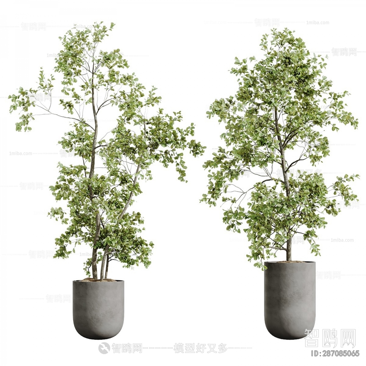 Modern Ground Green Plant Potted Plants