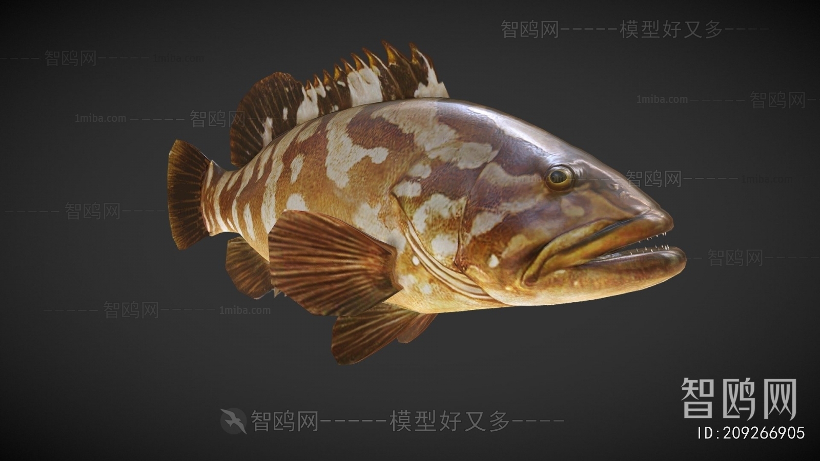 Modern Aquatic Animals