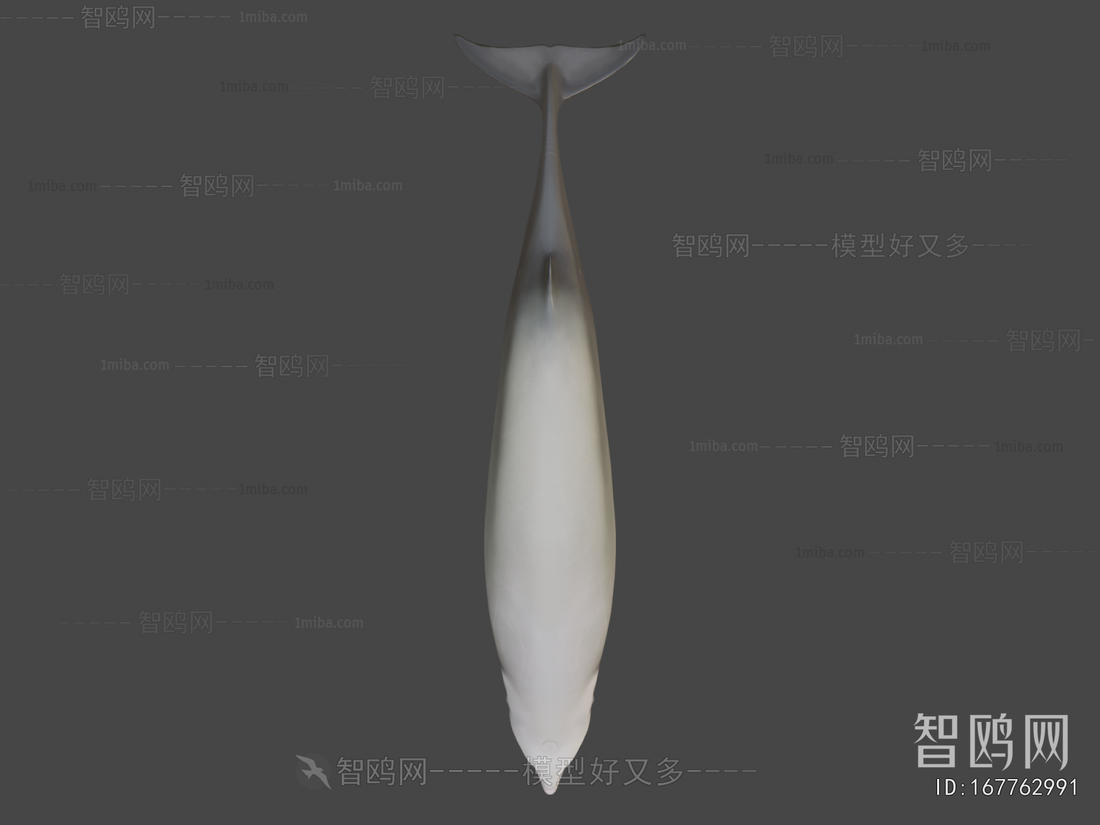 Modern Aquatic Animals