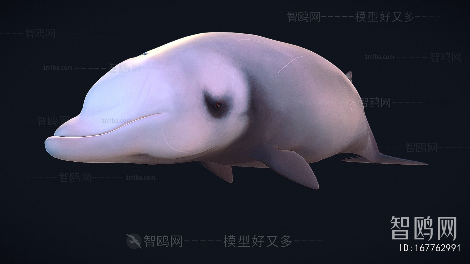 Modern Aquatic Animals