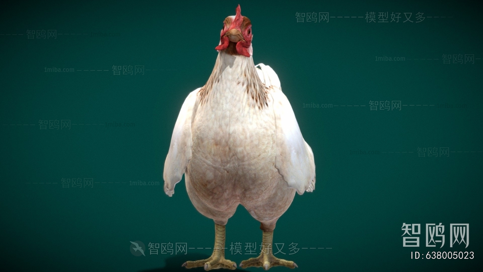 Modern Poultry Animal