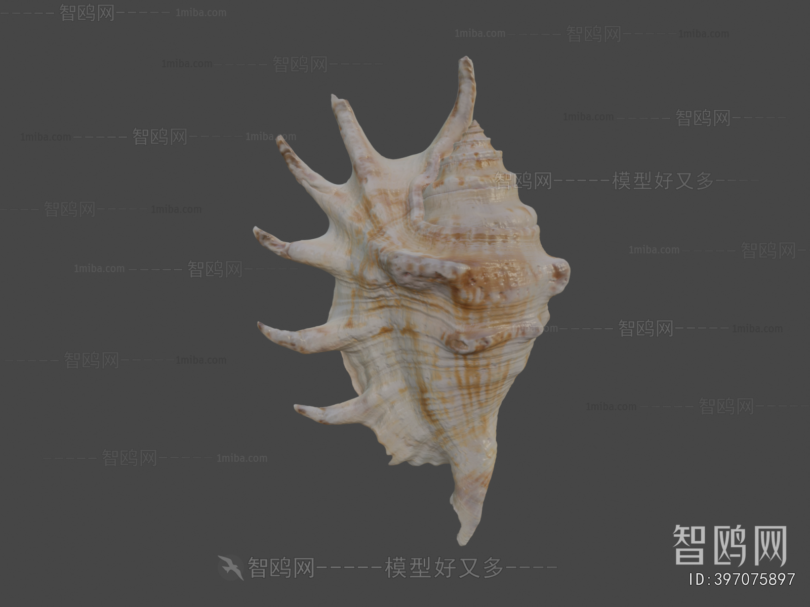 Modern Aquatic Animals