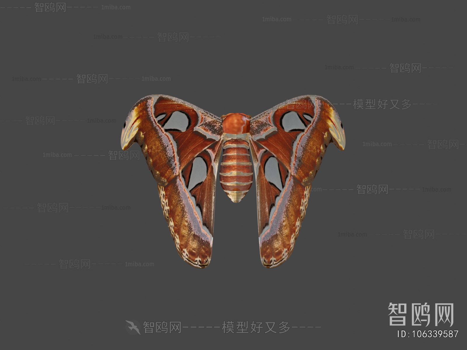 Modern Flying Animals