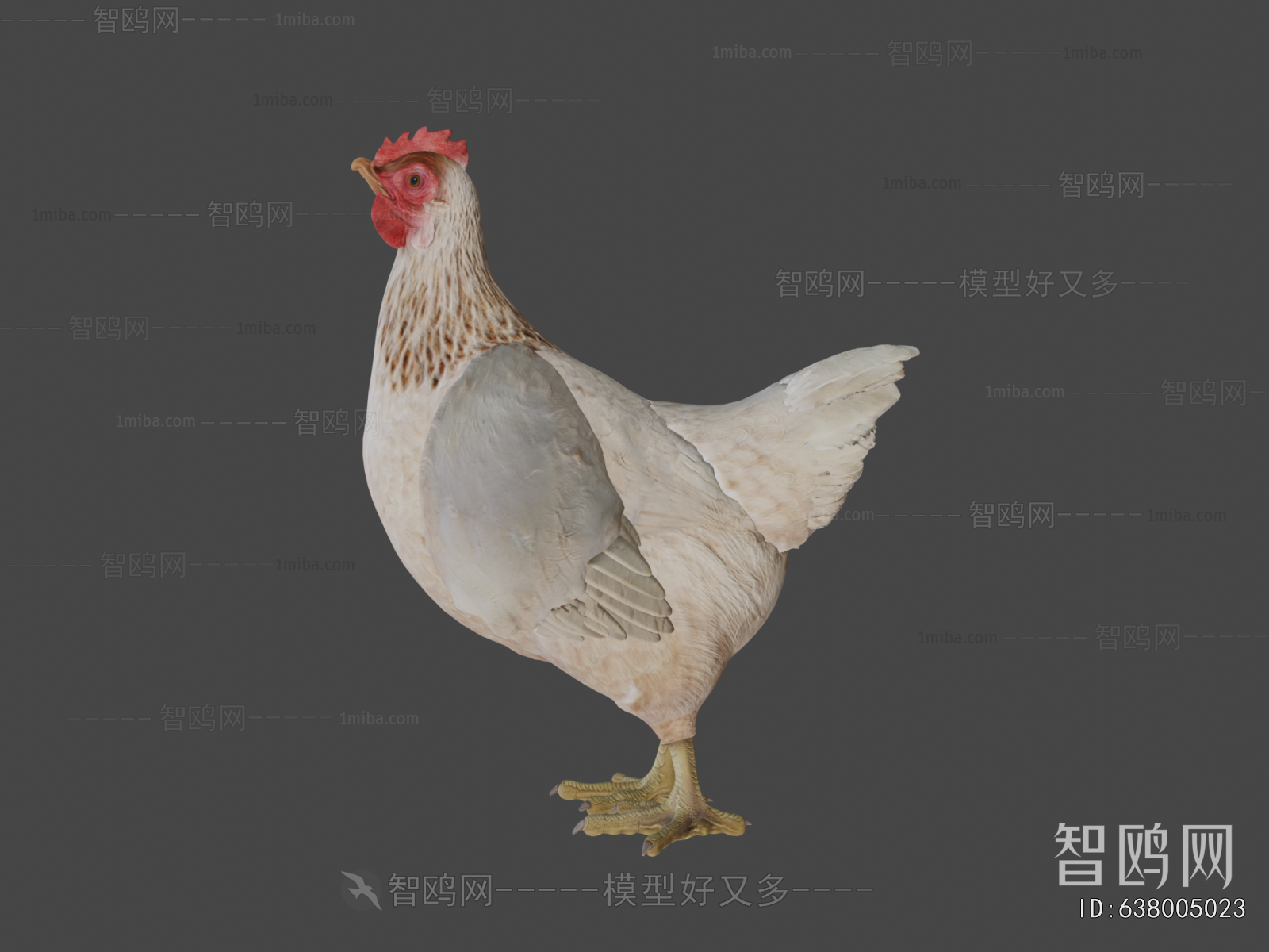 Modern Poultry Animal