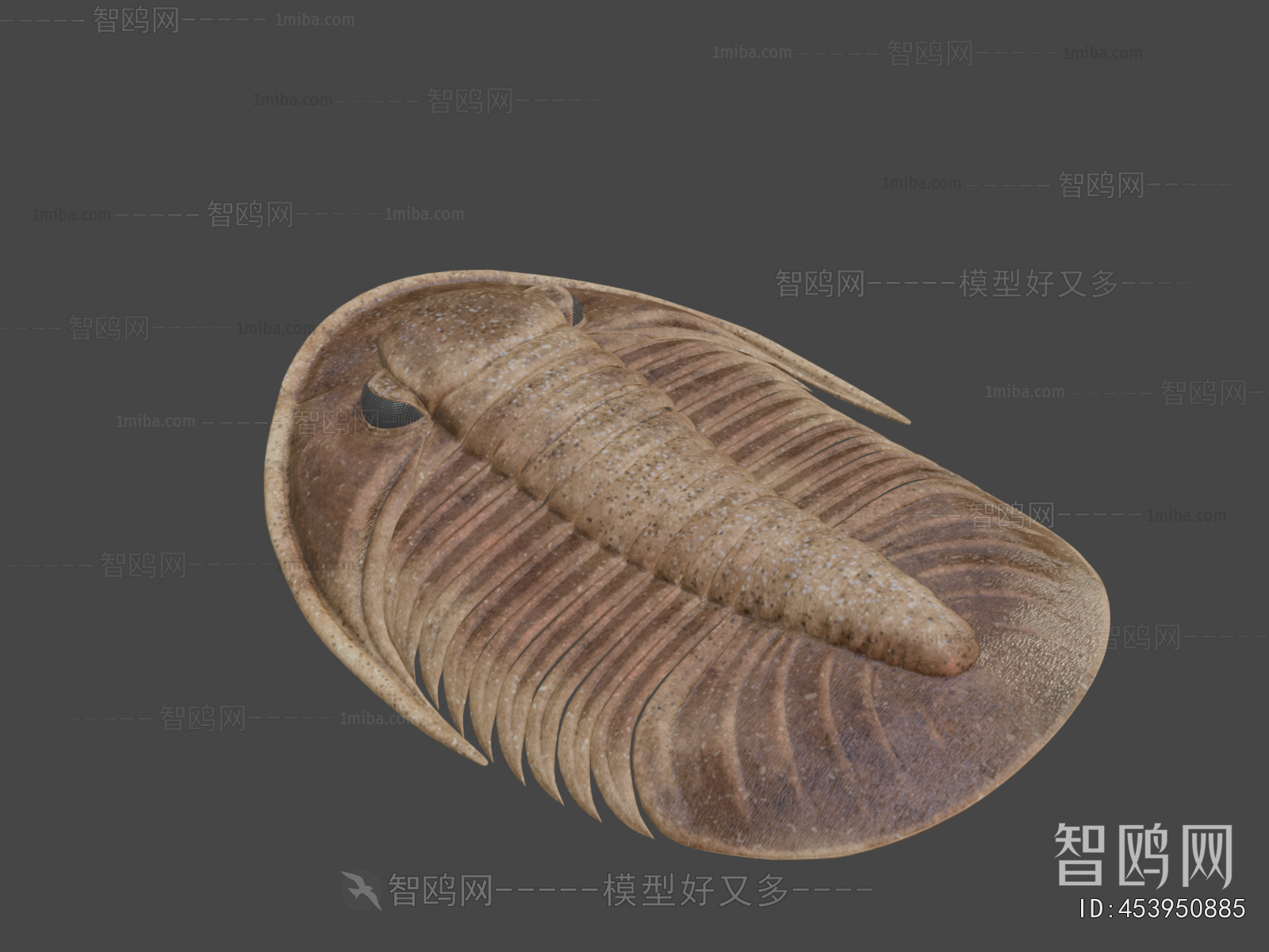 Modern Other Animals